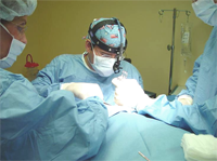 CSI Physician Education and Surgery Fellowships CSI Physician Education and Surgery Fellowships