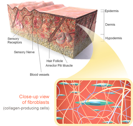 Image Result For Ab Products Skin Care Products Image Result For Ab Products Skin Care Products